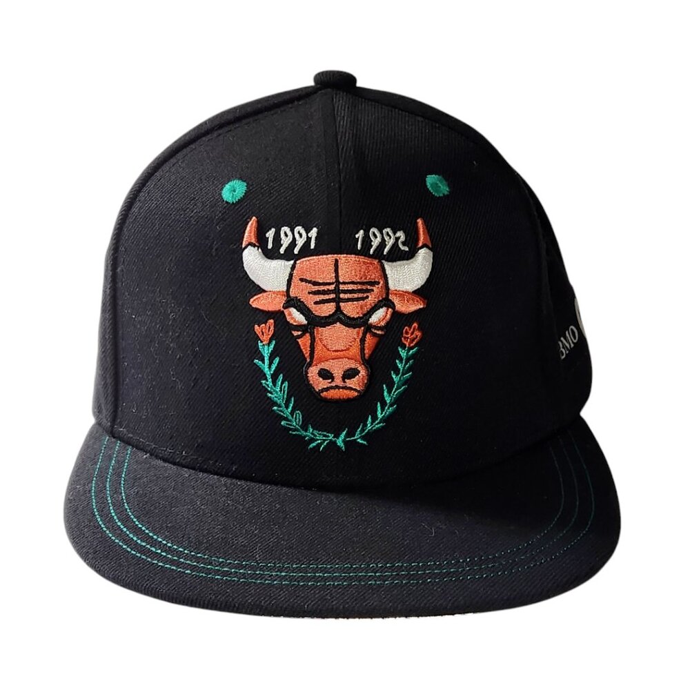 Chicago Bulls Artist Hat Series David Heo Adult One Size Snapback Cap Black